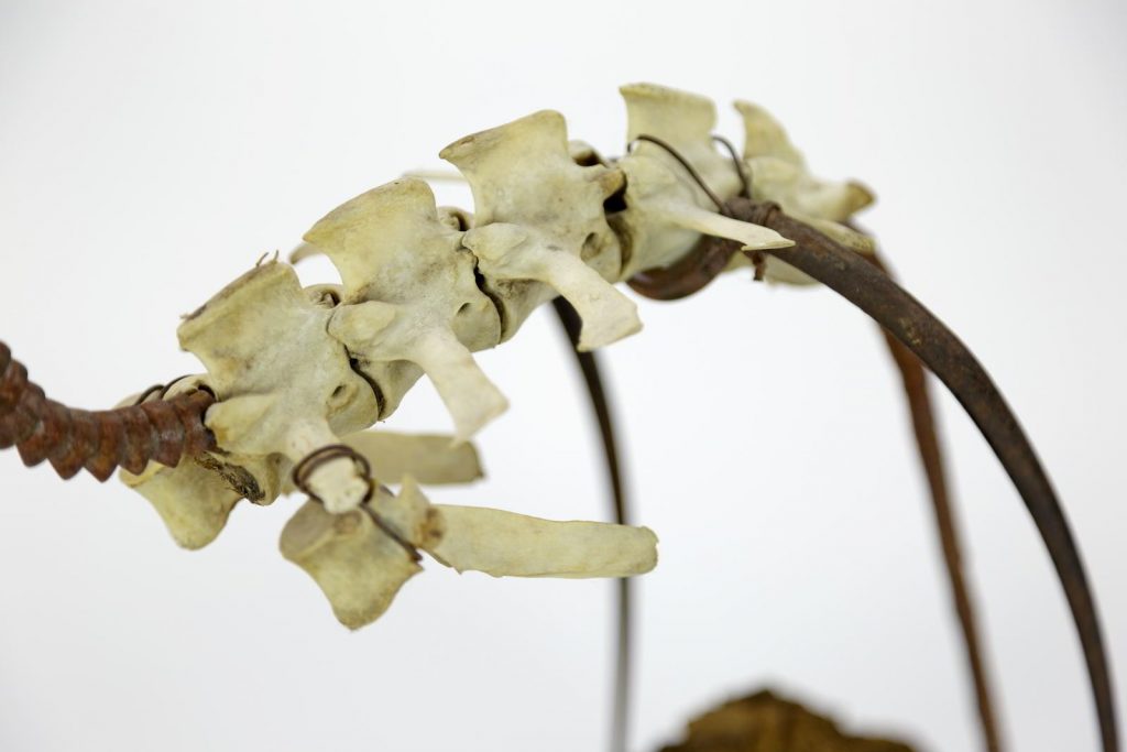 mixed material sculpture "olivia" (2005) by Andree Thielemann