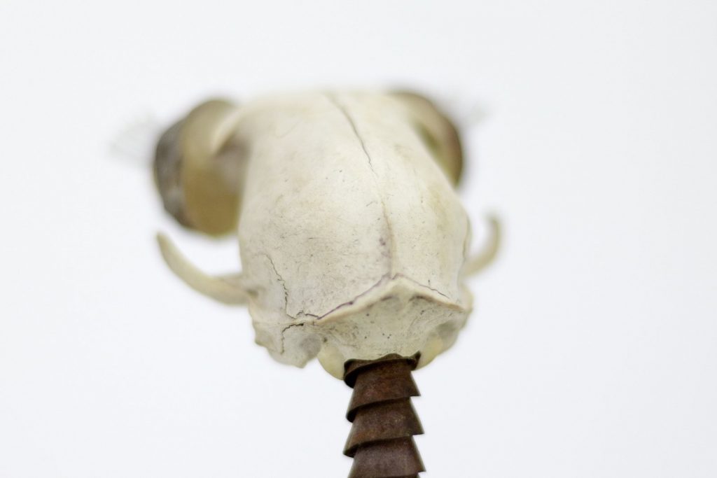 mixed material sculpture "olivia" (2005) by Andree Thielemann