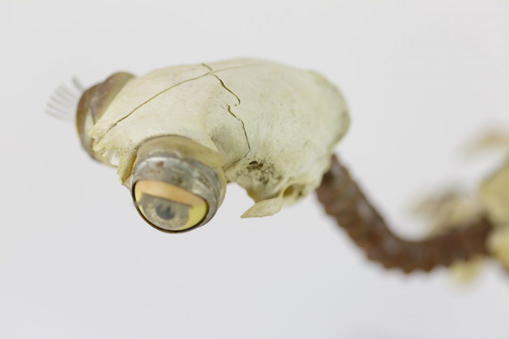 mixed material sculpture "olivia" (2005) by Andree Thielemann