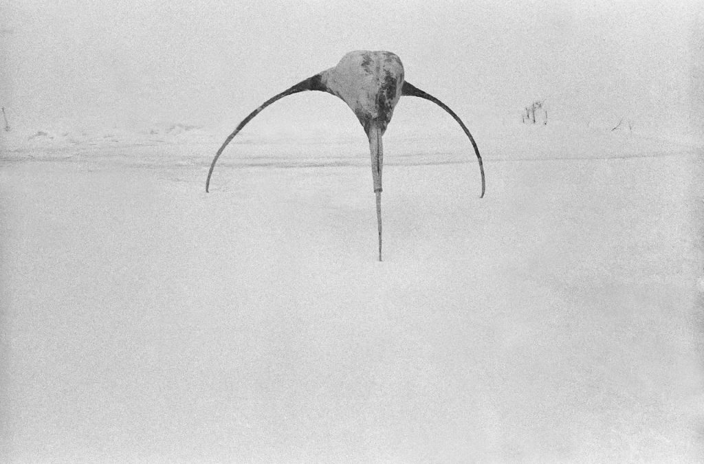 mixed material sculpture "monolith" (1999) by Andree Thielemann