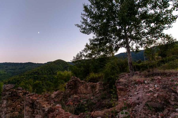 Andree Thielemann |  Stahlplastik | Foto | 2013 | Titel: Heimat