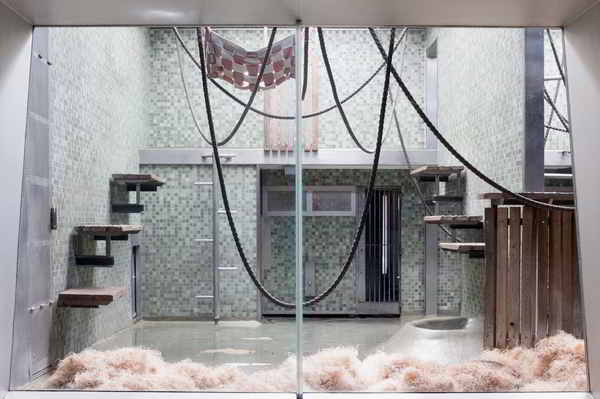 photo series "grau" (2016) by Andree Thielemann