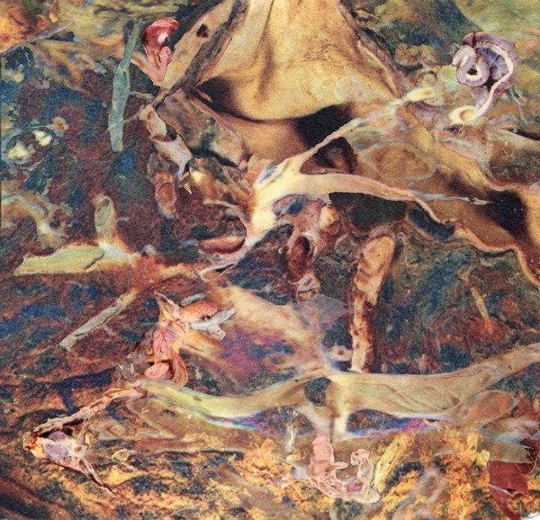 Andree Thielemann |  Stahlplastik | Fotocollage | 2013 | Titel: ohne Titel