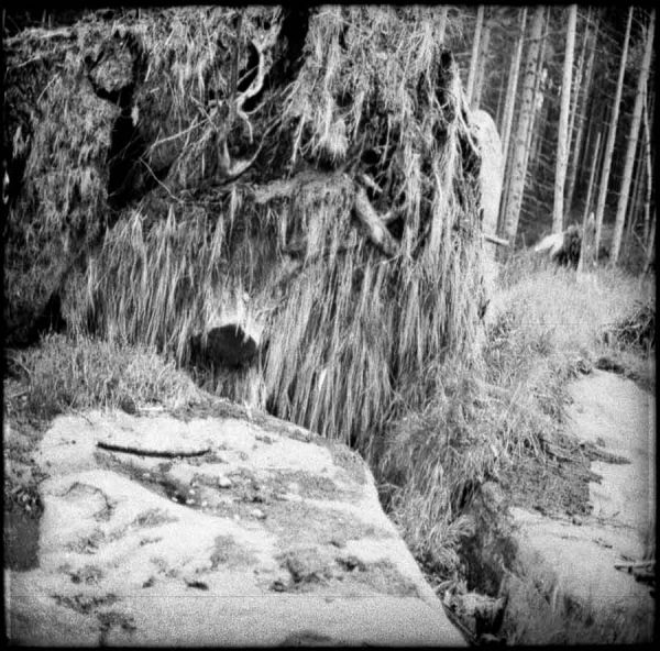 photo series "riesen" (2001) by Andree Thielemann