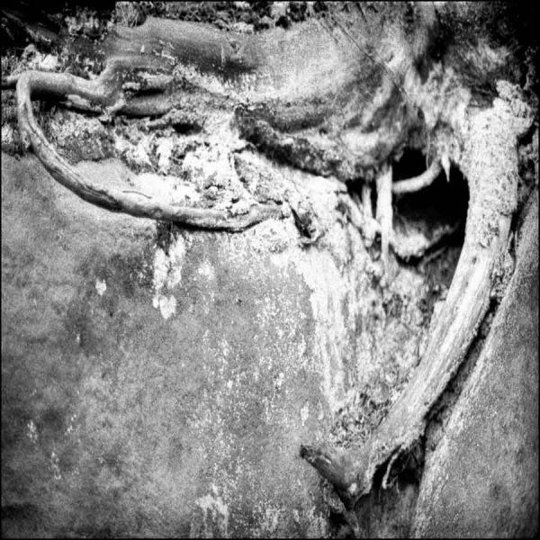 photo series "riesen" (2001) by Andree Thielemann