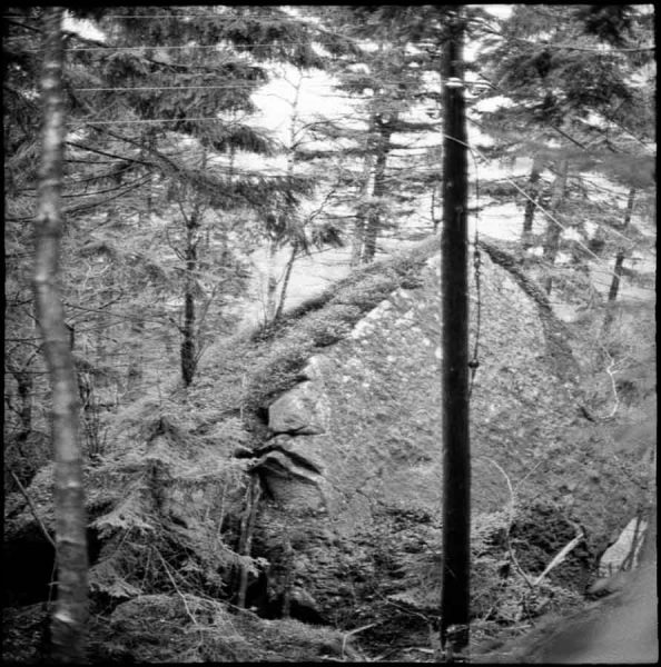 photo series "riesen" (2001) by Andree Thielemann