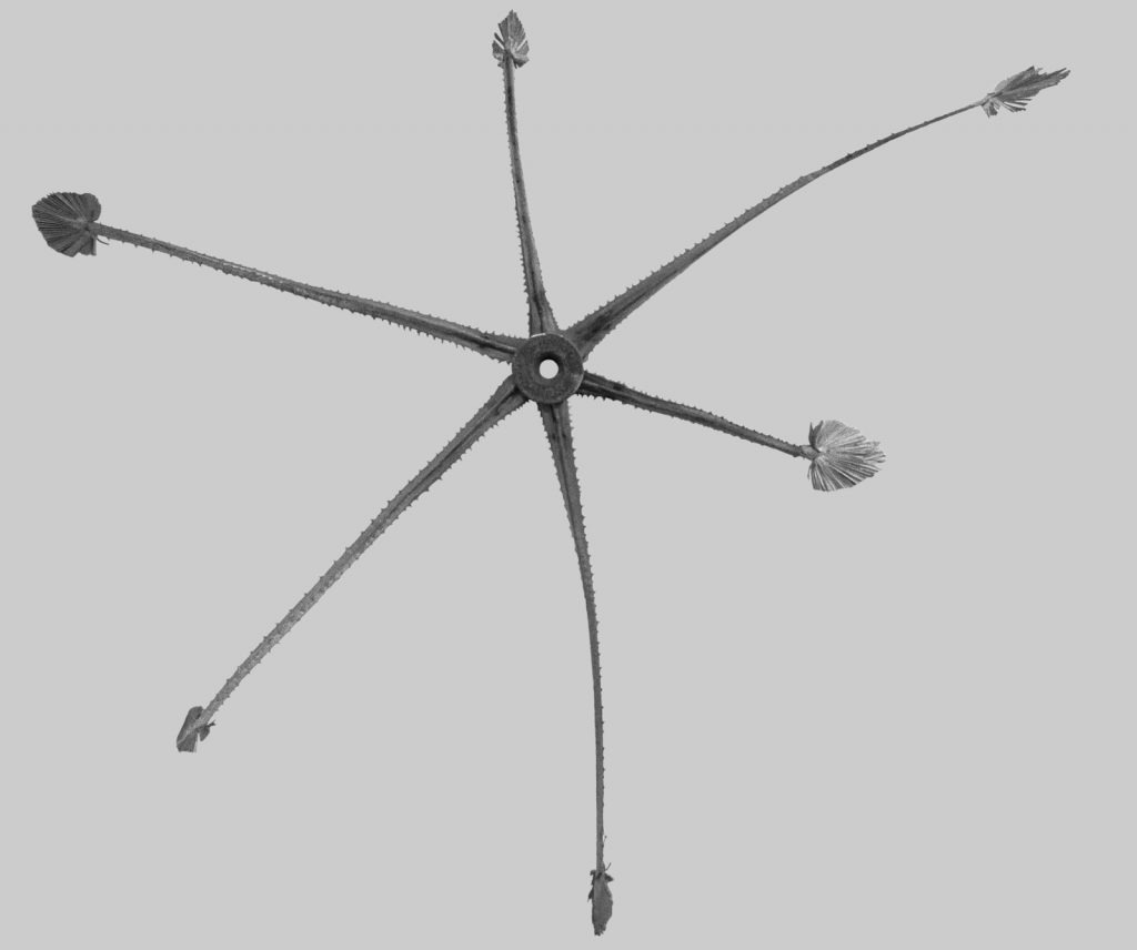 mixed material sculpture "stern" (2000) by Andree Thielemann