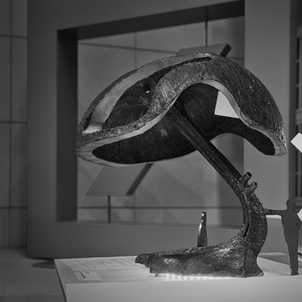 schutzschirm (2015) steel sculpture "schutzschirm" (2015) by Andree Thielemann