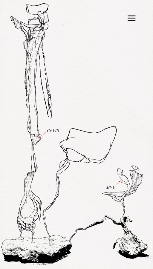 digital drawing series "restart" (2023) by Andree Thielemann