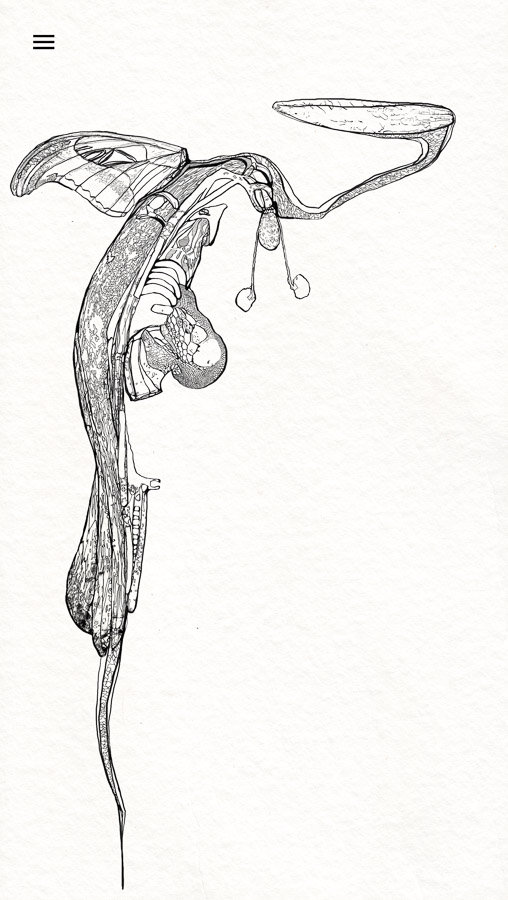 digital drawing series "restart" (2023) by Andree Thielemann