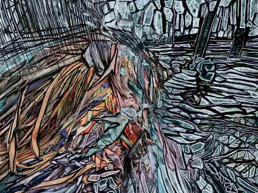 IMG_2681-Bearbeitet-2