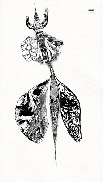 IMG_2648-Bearbeitet-2