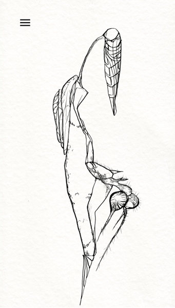 IMG_2650-Bearbeitet-2