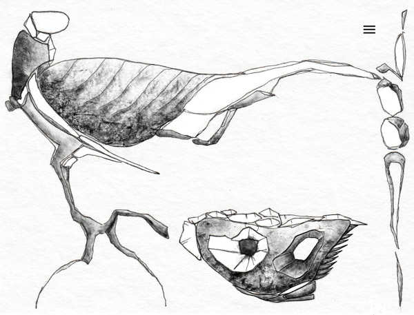 IMG_2652-Bearbeitet-2