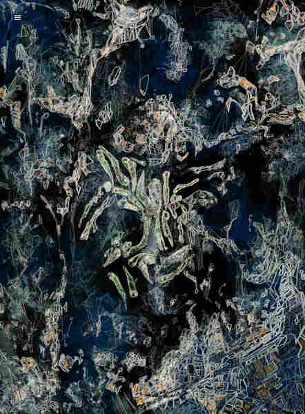 IMG_2655-Bearbeitet-2