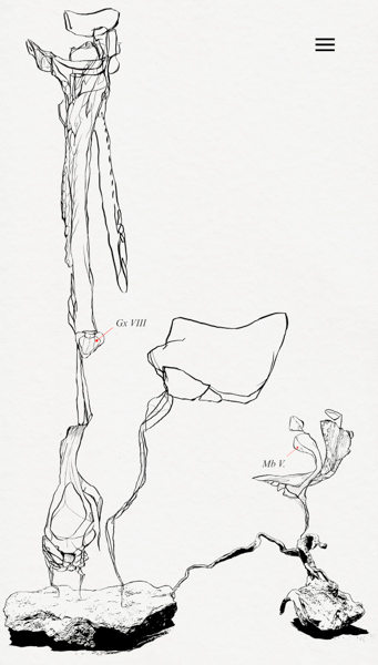 IMG_2665-Bearbeitet-2