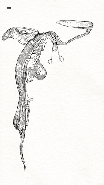 IMG_2666-Bearbeitet-2