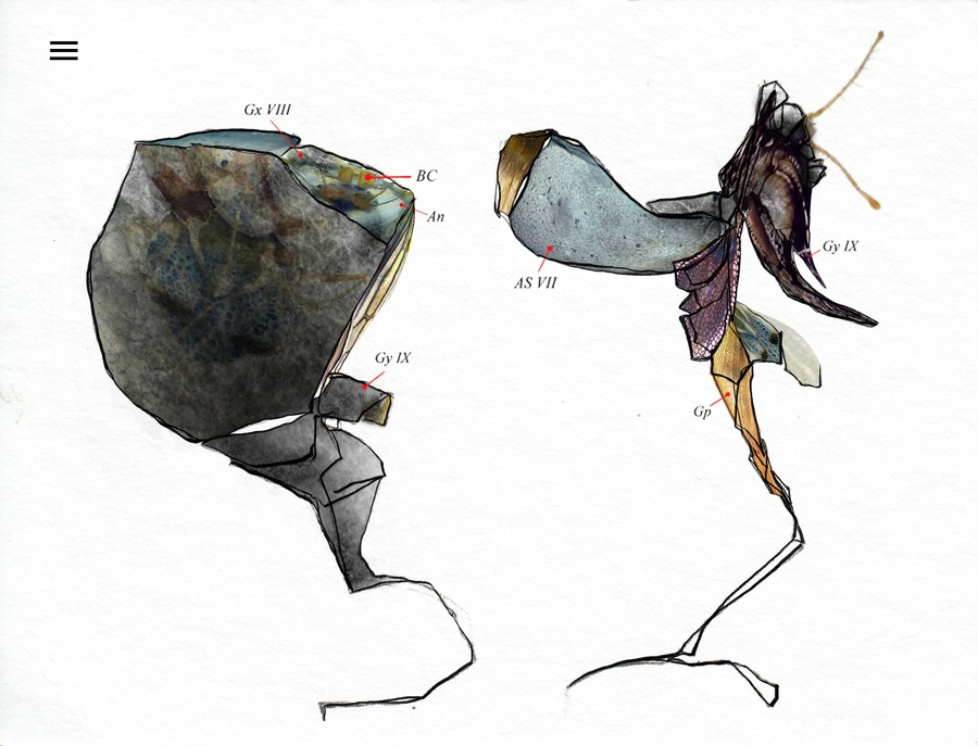 digital drawing series "restart" (2026) by Andree Thielemann