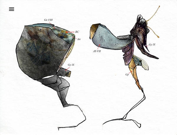 digital drawing series "restart" (2026) by Andree Thielemann