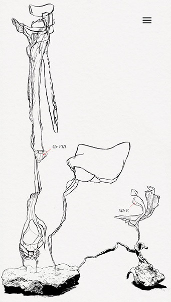 digital drawing series "restart" (2023) by Andree Thielemann