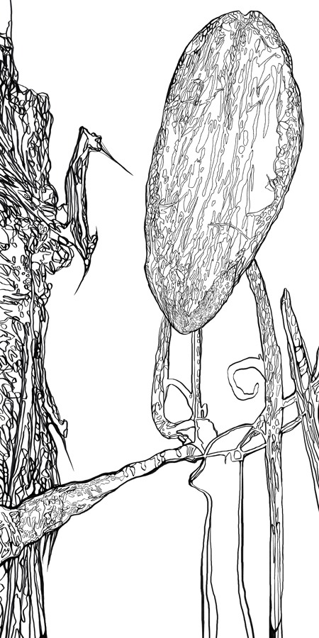 digital drawing series "restart" (2026) by Andree Thielemann