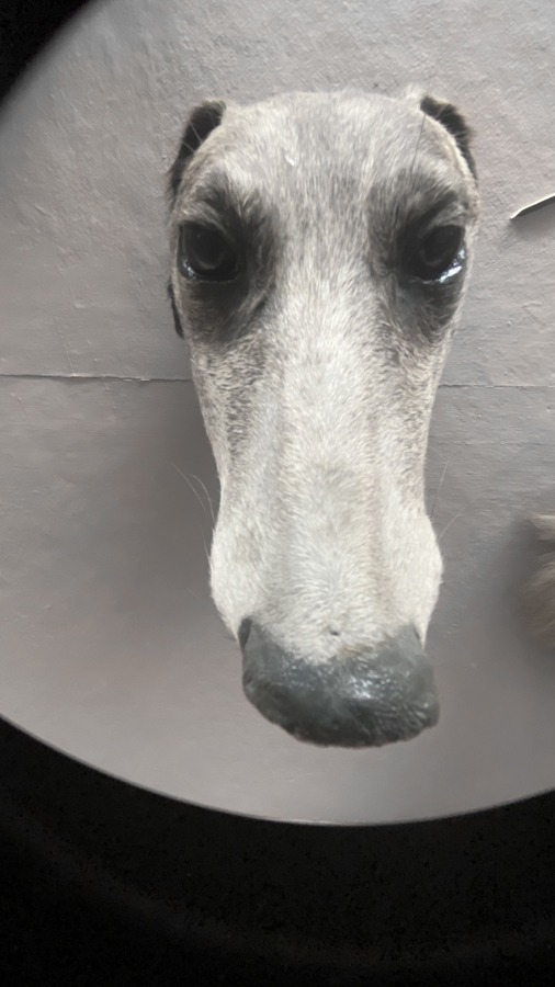 photo series "grau" (2016) by Andree Thielemann