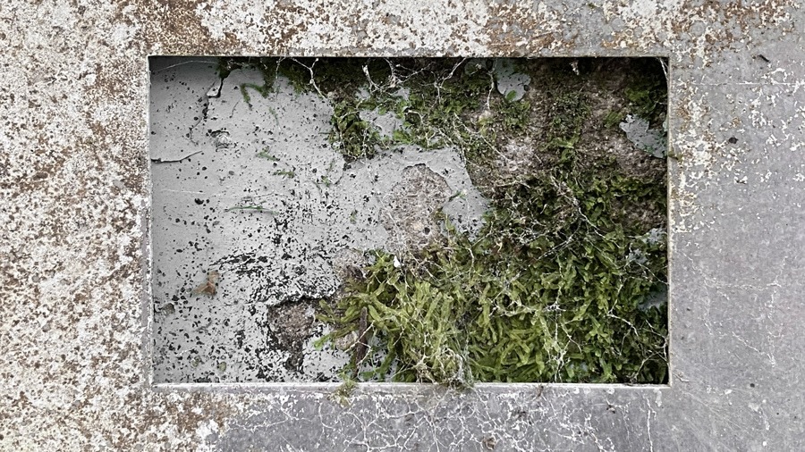 photo series "grau" (2016) by Andree Thielemann